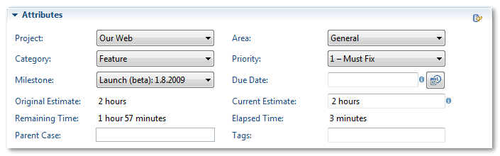 Attributes Section of Case Editor